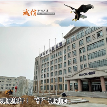 南京錐形旗桿|合肥旗桿廠|弘揚旗桿定制廠