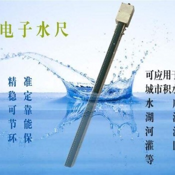 WDC型電子水尺--電子水尺