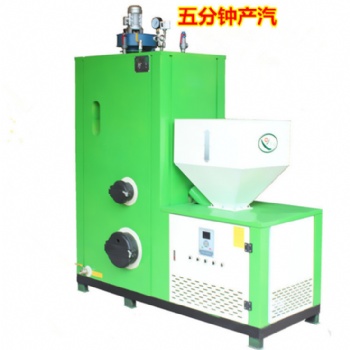 飼料廠配套生物質(zhì)蒸汽發(fā)生器 0.2噸免報(bào)裝手續(xù)