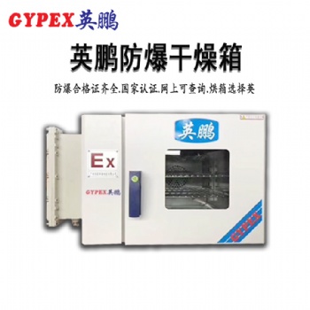 防爆恒溫鼓風(fēng)干燥箱-D系列-石油