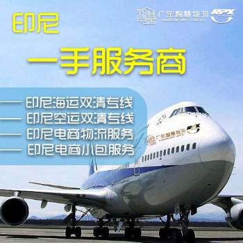 深圳到印尼海運(yùn)雙清 智慧物流印尼專線