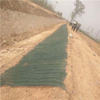 供應(yīng)來賓地區(qū) 抗沖生物毯 環(huán)保植生綠化毯 營養(yǎng)土工布 生態(tài)修復(fù)綠化