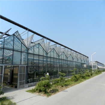 玻璃溫室造價 溫室施工 溫室設(shè)計 玻璃溫室廠家