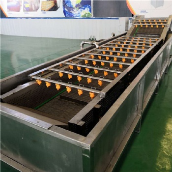 廠家生產全自動金銀花高壓噴淋氣泡清洗機