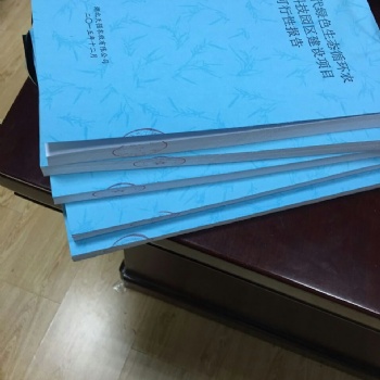 上海市代寫項目商業(yè)計劃書