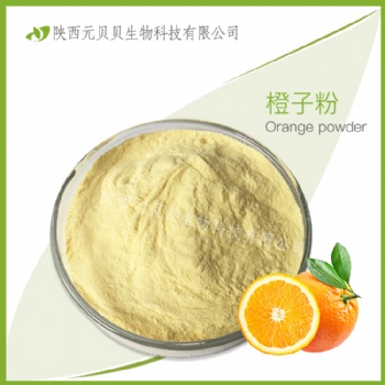 鮮橙汁粉 SC源頭廠家現貨供應水溶免費拿樣 橙子粉 甜橙粉 橙粉