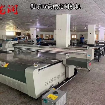 晉江定制個性DIY圖案鞋子打印機 精工2513高速鞋子鞋材5D打印設(shè)備