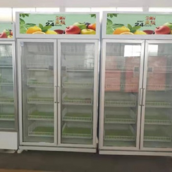 廣州豐馳果蔬自動售貨機(jī)