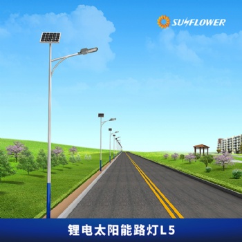 向日葵L5節(jié)能智能型鋰電池6米40W太陽(yáng)能LED路燈廠家