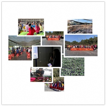 周末坪山農(nóng)家樂野炊燒烤公司團(tuán)建一日游