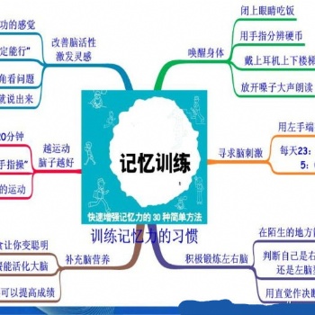 全腦開發(fā)培訓教育的關鍵時期