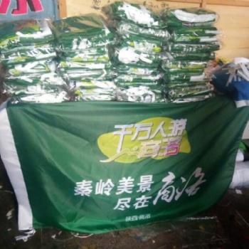 旗幟廠家 定做彩旗 廣告旗 西安仿古旗設計定做