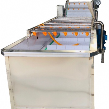 氣泡清洗機蔬菜清洗機水果鼓泡清洗機高壓噴淋不銹鋼清洗設備
