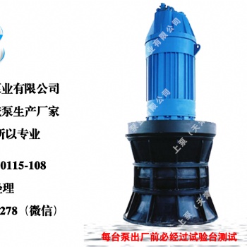 浙江潛水軸流泵(潛水混流泵)生產(chǎn)廠家價(jià)格優(yōu)惠