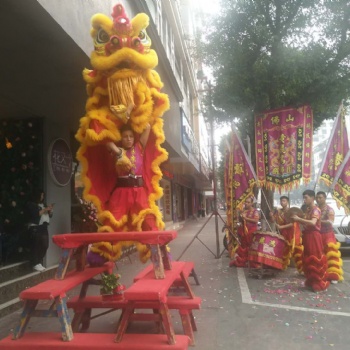 臺(tái)山醒獅表演 廣東醒獅表演 黃飛鴻醒獅表演 開(kāi)業(yè)醒獅表演