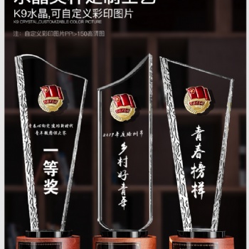 廣州廠家現貨實木水晶獎杯獎牌 青年志愿者紀念獎杯 愛心獎杯