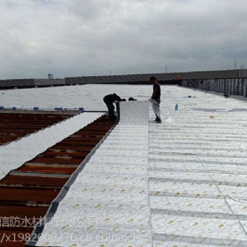 蕭山廠房漏水屋面防水維修選天信建材質(zhì)量好