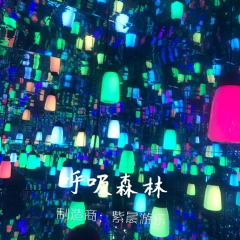 河南紫晨游樂呼吸森林包裝整體設計