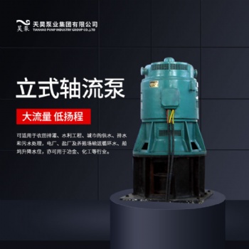 強(qiáng)排用4.0ZLB-9.5立式軸流泵廠家現(xiàn)貨