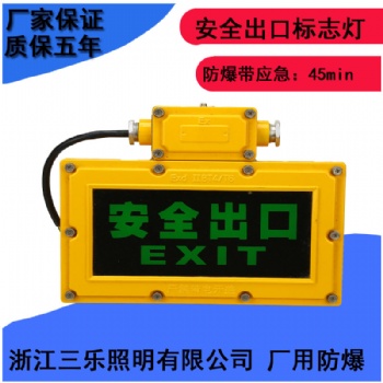 免維護LED防爆標志燈