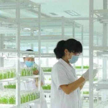 昆明組培貨架，植物組培貨架廠