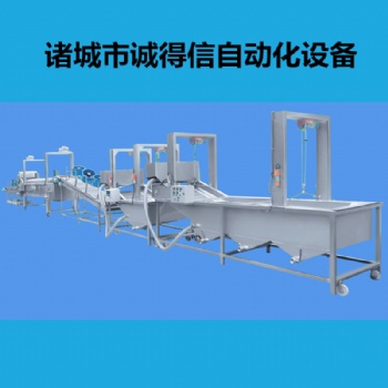 番茄氣泡清洗機多功能洗豆芽的機器氣泡水果蔬菜清洗機流水線定制