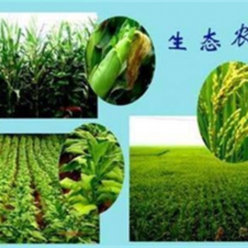 鄭州現(xiàn)代農(nóng)業(yè)生態(tài)工程乙級資質(zhì)辦理?xiàng)l件