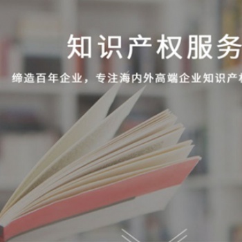 專利申請代理，專利申報服務(wù)，麥肯錫知識產(chǎn)權(quán)服務(wù)