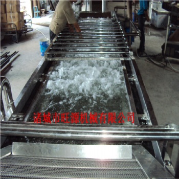 氣泡式果蔬清洗機 廠家多功能水果蔬菜清洗機 全自動清洗機