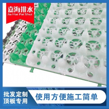供應韶關(guān)各種用途排水板蓄排水板生產(chǎn)廠家 質(zhì)量**