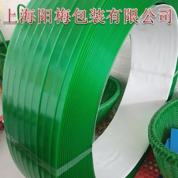 10公斤PET塑鋼帶 綠色塑料打包帶現(xiàn)貨綠色1608氣動(dòng)熱熔打包帶