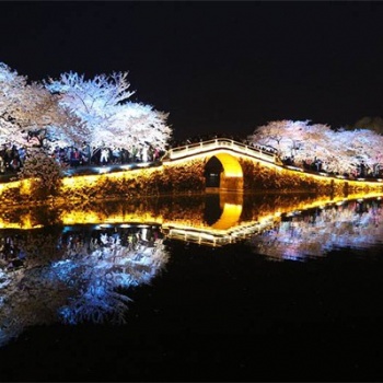 景觀樹(shù)燈光亮化方案，領(lǐng)略火樹(shù)銀花不夜天的夜游魅力