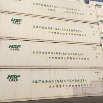 天津冷藏箱銷售租賃 飛翼箱改制 非標(biāo)特種箱改制