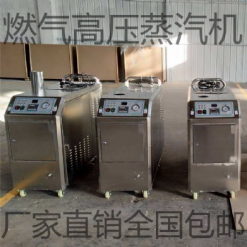 山東盛睿格蒸汽洗車機(jī)