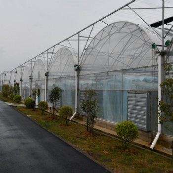 建達(dá)JD 連棟溫室大棚 薄膜連動大棚 塑料薄膜大棚