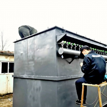 脈沖布袋除塵器生產供應商_燃煤鍋爐布袋除塵器