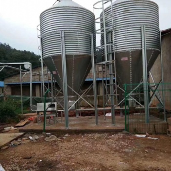 定制生產安裝豬舍自動化料線 喂豬上料控料線設備 鍍鋅料塔