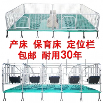 大量供應 母豬定位欄限位欄 加厚款豬用母豬定位欄 豬舍定位欄