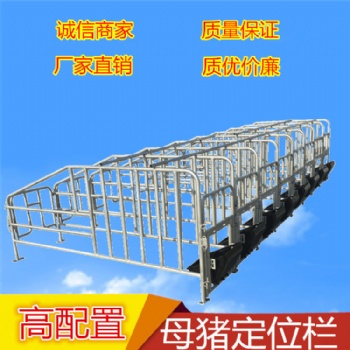 供應(yīng)陜西西安豬場(chǎng)新型落地式定位欄 母豬限位欄