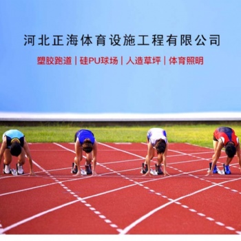 400米透氣型塑膠跑道施工13mm混合型塑膠跑道環(huán)保EPDM自結(jié)紋操場(chǎng)