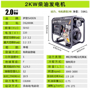德國(guó)技術(shù)薩登水泵抽水柴油發(fā)電機(jī)