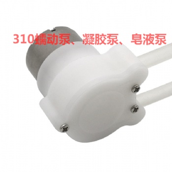 廠家供應(yīng)310蠕動泵洗手液泵給皂液齒輪泵洗手機皂液泵凝膠泵