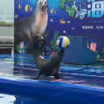 海洋生物展全國(guó)出租出售