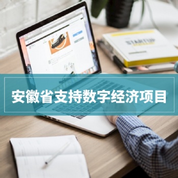 2020年安徽省支持數字經濟15類項目申報條件條件解讀