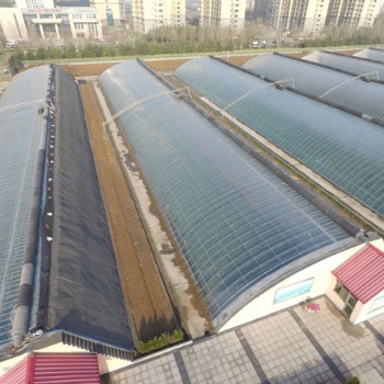 壽光旭峰農(nóng)業(yè)設(shè)施有限公司是一家集溫室工程設(shè)計(jì)與承建