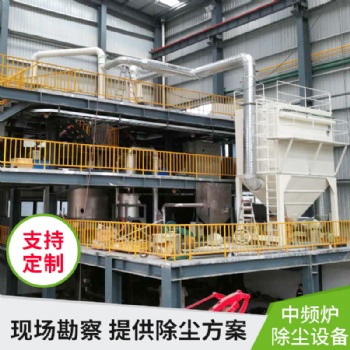 防靜電布袋除塵器 中頻爐布袋除塵器 除塵設備配件廠家