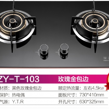 家用燃氣灶具、廚衛電器，
