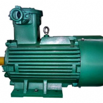 TYBPE永磁同步電動(dòng)機(jī) 防爆電機(jī) 南洋防爆電機(jī)
