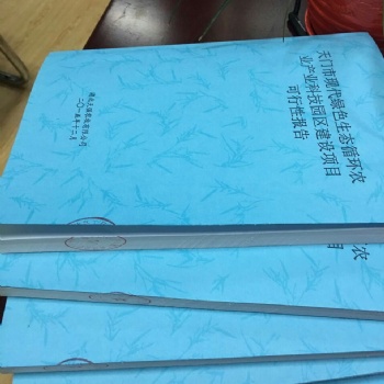 廣州市代寫項目商業(yè)計劃書