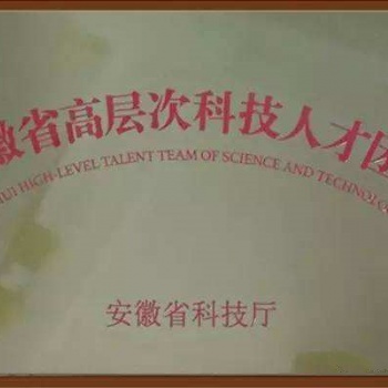合肥市高層次科技人才團(tuán)隊(duì)申請(qǐng)好處及申請(qǐng)時(shí)間
